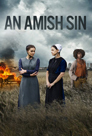 An Amish Sin 