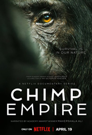 Chimp Empire 